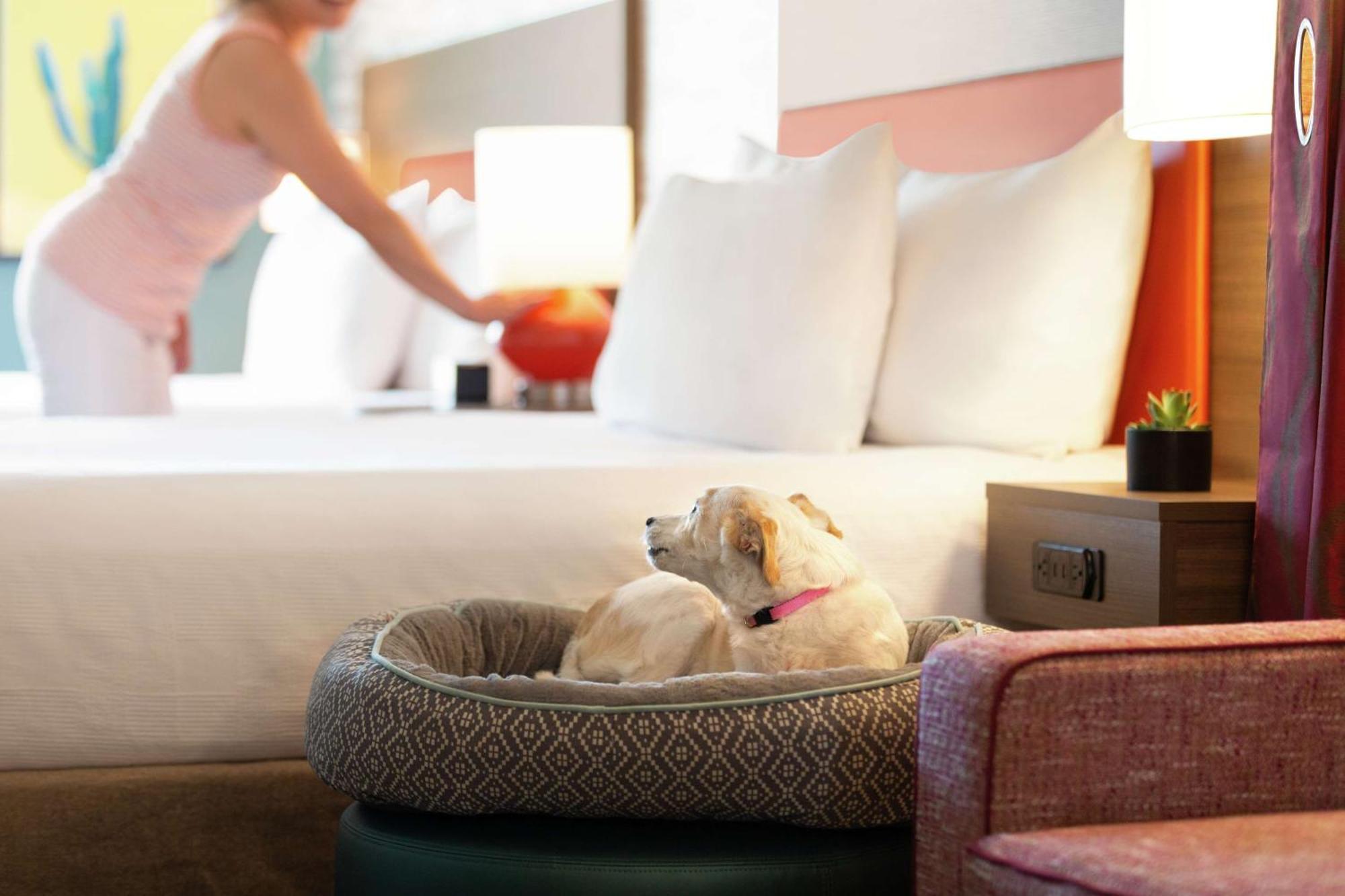 Home2 Suites By Hilton Mesa Longbow, Az Buitenkant foto